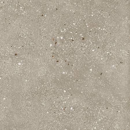 Ama Tortora Rect 60x60