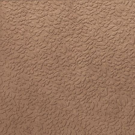 Argillae Nisus Terra Rect. 60x60 Argillae Nisus Terra Rect. 60x60