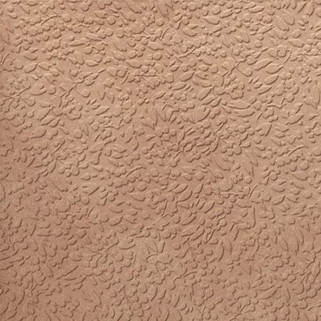 Argillae Nisus Gobi Rect. 60x60